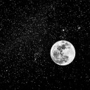 theyonlytoldthemoon avatar