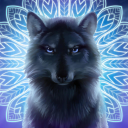 theythemwolf avatar