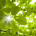 theywere-kings avatar