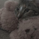 theywillneverfindmehere avatar