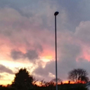 thghts-fllings avatar