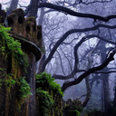 thgreengreengrassofhell avatar