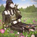 thicc-beef-rolls avatar