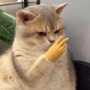 thiccolassssss avatar