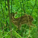 thickhard69-blog avatar