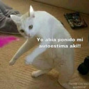 thinaspirations avatar