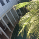 things-i-would-tell-mydaughter avatar