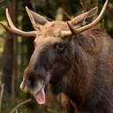 things-my-calculus-teacher-said avatar