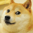 things-not-to-do avatar