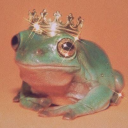 things-of-that-nature avatar