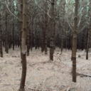 thingsgetbeterbutheynevergetgood avatar