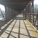 thingsilovethisweek avatar