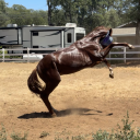 thingsiusedtobe avatar