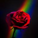 thingsofbronze avatar