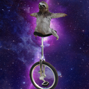 thingsreplacedwithsloths avatar