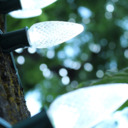 thingsweusedtobelievein avatar