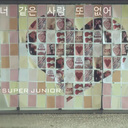 thingswithsuperjunior avatar