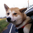 thingzmollzluvz avatar