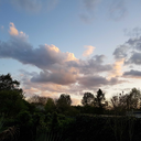 think-about-unicorns avatar