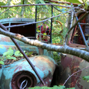 thinkandcreatethings avatar