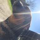 thinkbeyondnormal avatar