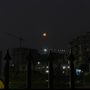 thinker-belll avatar