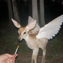 thinkinaboutpowerlines avatar