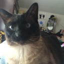 thinkinabouty0u avatar