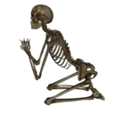 thinking-grenades avatar