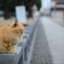 thinkingabouty00u avatar