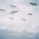 thinkp0sitively-blog avatar