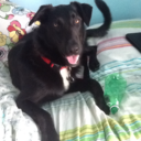 thinner-is-always-the-winne-blog avatar