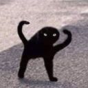 thirdcoronation avatar