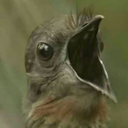 thirdfaction-blog avatar