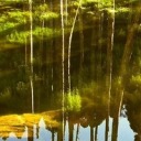 thirstydebergerac avatar