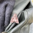 thirteencloversoup avatar