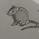 thirty-two-rats avatar