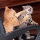 thirtynineitude avatar