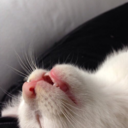 thirtywinters avatar