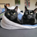 this--is--not--my--blog avatar