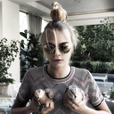 this-blog-is-a-circus avatar