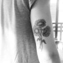 this-counting-life avatar