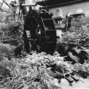 this-daydream-is-dangerous-13 avatar