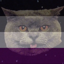 this-discourse-should-be-de-blog avatar