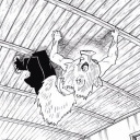 this-is-boar-country avatar