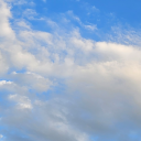 this-is-just-for-organising avatar