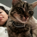 this-is-me-cryingg avatar