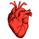 this-is-me-sort-of avatar