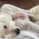 this-is-my-design- avatar