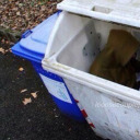 this-is-not-real avatar